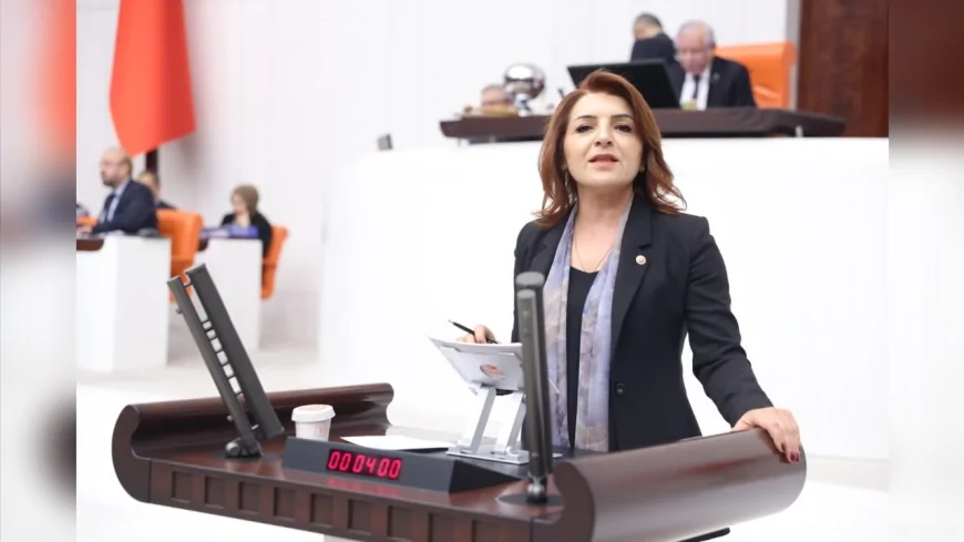 CHP Mersin Milletvekili Gülcan Kış: “Bu bütçe enerji yatırımı değil egemenlik devridir”