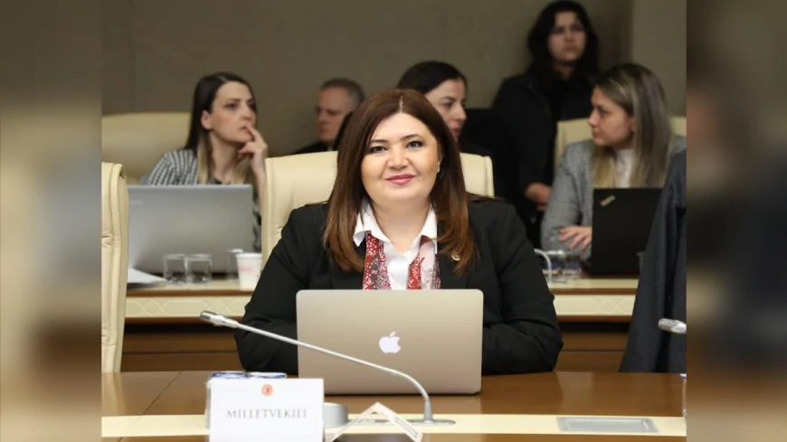 İYİ PARTİ TEKİRDAĞ MİLLETVEKİLİ SELCAN TAŞCI: “GAZLA ŞİŞİRİLMİŞ BALON GİBİ PATLAYACAK BİR BÜTÇE HEPİMİZİ YAKAR”