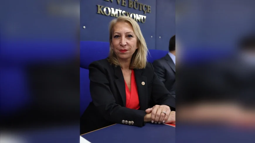 CHP Muğla Milletvekili Süreyya Öneş Derici: “Siyasallaşmış güvenlik kurumları ülkeyi gerçek tehditlere karşı savunmasız bırakır”