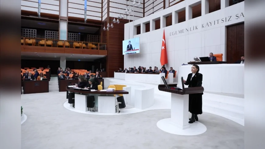 İYİ PARTİLİ SELCAN TAŞCI: “İLETİŞİM BAŞKANLIĞI PROPAGANDA BİRİMİNE DÖNÜŞTÜ BU BÜTÇE TÜKENİŞİN BELGESİDİR”