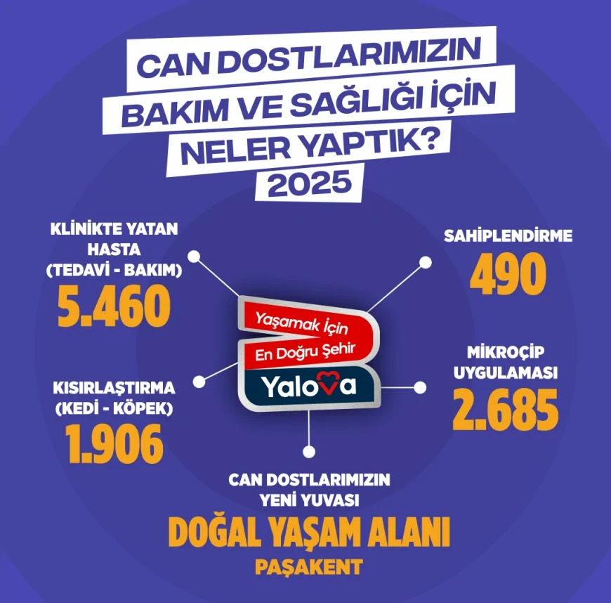 Yalova Belediyesi’nden Sokak Hayvanlarına Yıl Boyu Kesintisiz Hizmet: Binlerce Can Dosta Sağlık ve Güvence Sağlandı