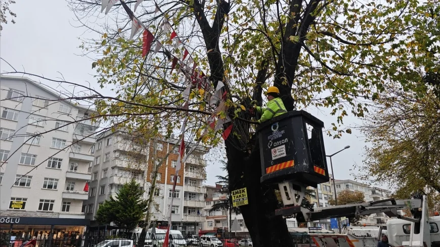 Ordu Büyükşehir Belediyesi’nden Can ve Mal Güvenliği İçin Uzman Eşliğinde Budama Çalışması Başlıyor