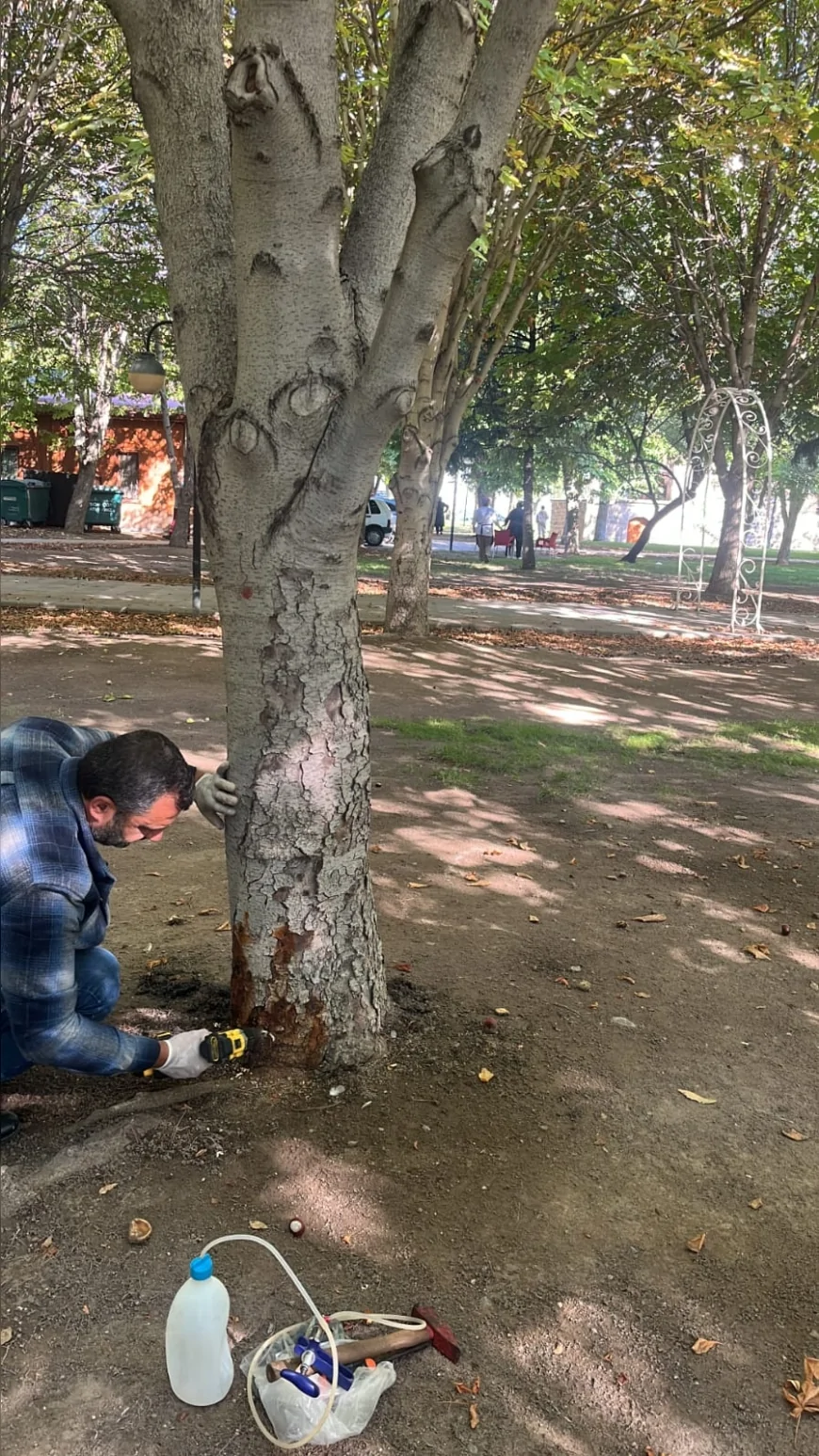 Kayseri Büyükşehir Belediye Başkanı Dr. Memduh Büyükkılıç: “Yeşil Alanlarda Arborjet Yöntemiyle Çevre Dostu Mücadeleyi Sürdürüyoruz”