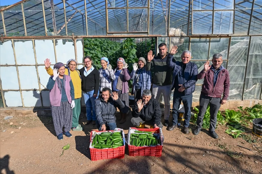 Mersin Büyükşehir Belediyesi’nin Aydıncık’ta Yüzde 70 Hibeli Hıyar Fidesi Desteği Hasada Dönüştü