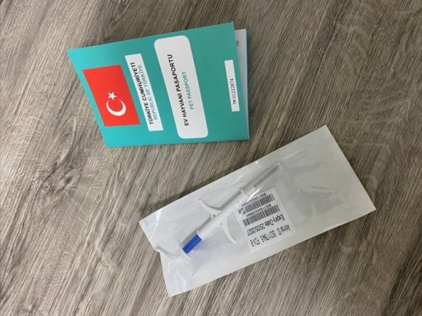 Tarım ve Orman Bakanlığı’ndan Evcil Hayvan Sahiplerine Çip Uyarısı: 6 Aylıktan Büyük Kedi ve Köpekler İçin Son Tarih 31 Aralık 2025