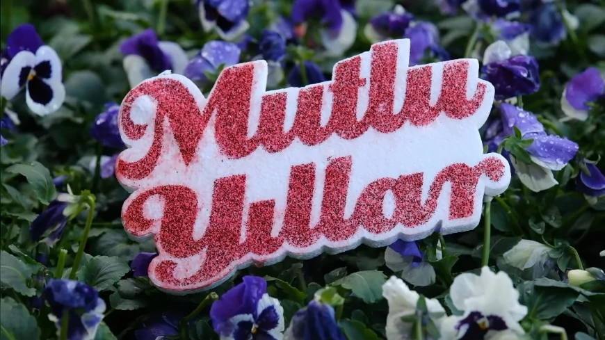 Ankara Büyükşehir Belediyesi Bitki Evleri Yeni Yılı Rengârenk Çiçekler ve Yılbaşı Aranjmanlarıyla Karşılıyor