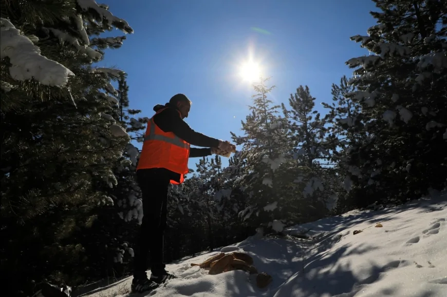 Elazığ Belediyesi Kış Şartlarında Sokak Hayvanları ve Yaban Hayatı İçin Doğaya Yem Bıraktı