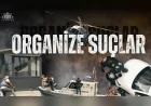 Organize Suçlara Ağır Darbe: Son 3 Yılda Operasyonlar Rekor Kırdı, Suç Olayları Geriledi