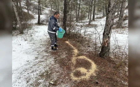 Çorum Belediyesi Soğuk Kış Günlerinde Yaban Hayatı İçin Doğaya Yem Bıraktı