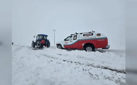 Diyarbakır İl Sağlık Müdürü Emre Asiltürk: “Her koşulda sahadayız, anne ve bebeğe kar altında ulaşıldı”