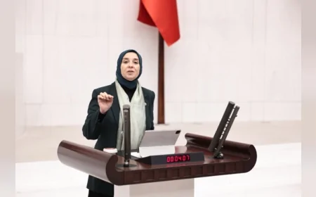 DEVA Partisi Genel Başkan Yardımcısı Elif Esen: “Bireysel silahlanma güvenlik değil, toplumsal barış sorunudur”