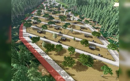 Kemalpaşa Belediyesi Sokak Hayvanları İçin Kapasiteyi Üç Katına Çıkardı Doğal Yaşam Alanları Genişletiliyor