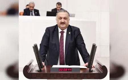 DEVA Partisi Genel Başkan Yardımcısı Hasan Karal: “Ramsar korumasındaki Manyas Kuş Cenneti neden sanayi ve maden baskısına açık bırakılıyor?”