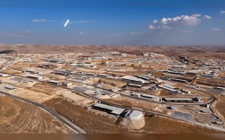 Tarım ve Orman Bakanı İbrahim Yumaklı: “Şanlıurfa’ya 2 milyar TL’lik dev yatırımla 36 bin ton kırmızı et üretilecek”