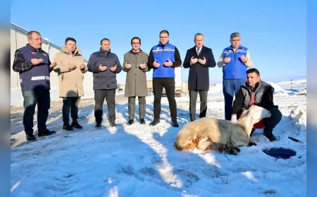 Sivas Belediye Başkanı Adem Uzun: “Kar Rahmettir, Bereketin Şükrünü Kurbanla Edâ Ettik”