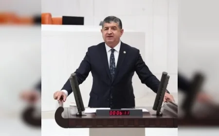 CHP Parti Meclisi Üyesi Antalya Milletvekili Av. Cavit Arı: “Finike Gökliman’da taş ocağına izin vermeyeceğiz”