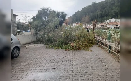 Marmaris Belediyesi Fırtına ve Sağanakta Sahadaydı: Ekipler Taşkın Riskine Karşı Teyakkuzdaydı