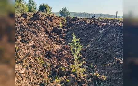 Kastamonulu Sivil Toplum Kuruluşlarından İzmir Buca’da “Şehit Şerife Bacı Hatıra Ormanı” İçin Ağaçlandırma Seferberliği