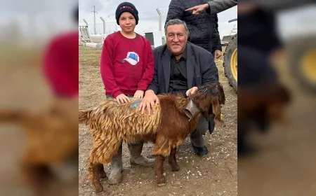 Tarım ve Orman Bakanı İbrahim Yumaklı: “Ülkemizde bitkisel üretime zarar veren 669 zararlı organizma kayıtlı”