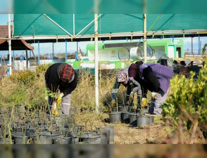 Altıeylül Belediye Başkanı Hakan Şehirli: “Amacımız Altıeylül’ü Daha Yeşil ve Yaşanabilir Bir İlçe Haline Getirmek”