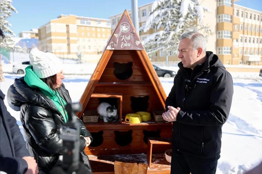 Sivas Belediye Başkanı Dr. Adem Uzun: “Kışın Zor Şartlarında Sessiz Dostlarımızın Yanındayız”