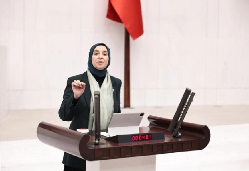 DEVA Partisi Genel Başkan Yardımcısı Elif Esen: “Bireysel silahlanma güvenlik değil, toplumsal barış sorunudur”