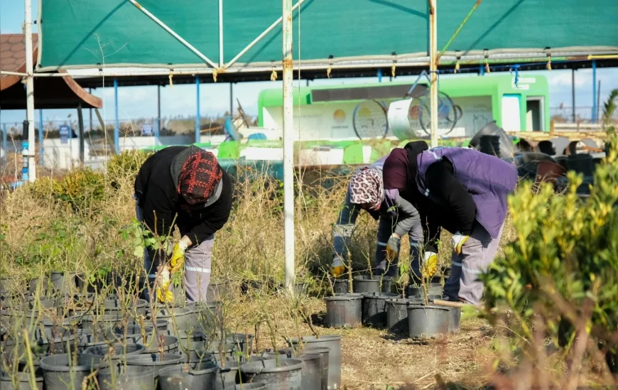Altıeylül Belediye Başkanı Hakan Şehirli: “Amacımız Altıeylül’ü Daha Yeşil ve Yaşanabilir Bir İlçe Haline Getirmek”