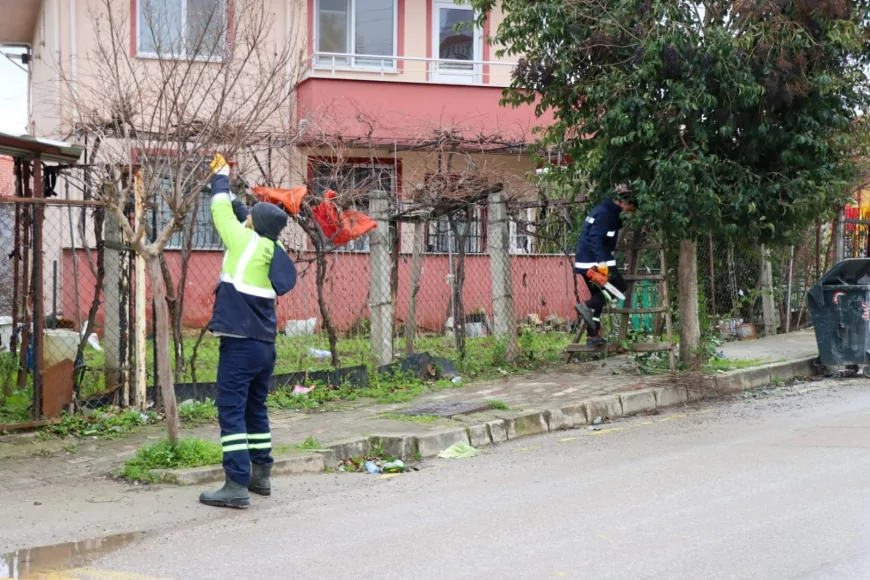 Yalova Belediyesi Kent Genelinde Altyapıdan Budamaya Kadar Çalışmalarını Sürdürüyor