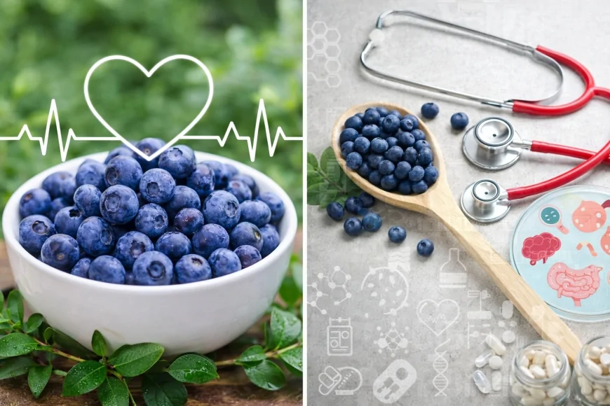 Yabani Yaban Mersinleri Kalp Damar Fonksiyonlarıyla İlişkilendirildi Bilimsel Derleme Bulguları Paylaşıldı