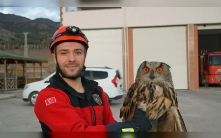 Osmancık’ta Kızılırmak Kenarında Yaralı Bulunan Puhu Kuşu Koruma Altına Alındı