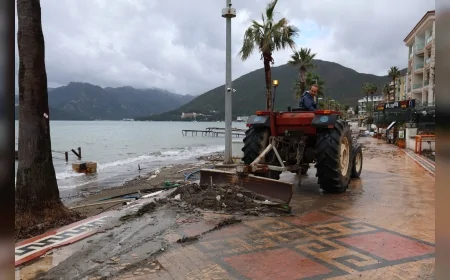 Marmaris’te 15 Günlük Fırtına Mesaisi: 220 Ağaca Müdahale Edildi, 40 Kamyon Atık Toplandı