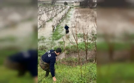 Manisa’da Sel Alarmı: Büyükşehir İtfaiyesi Mahsur Kalan Aileleri ve Hayvanları Kurtardı