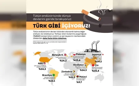 İLKE Vakfı Raporu: “Türkiye Günlük Tütün Kullanımında OECD Ülkeleri Arasında İlk Sırada”