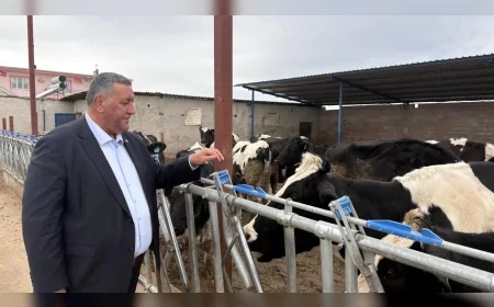 CHP Niğde Milletvekili Ömer Fethi Gürer: “2025 yılında 739 bin baş hayvan ithal edildi, daha az hayvana daha çok döviz ödendi”