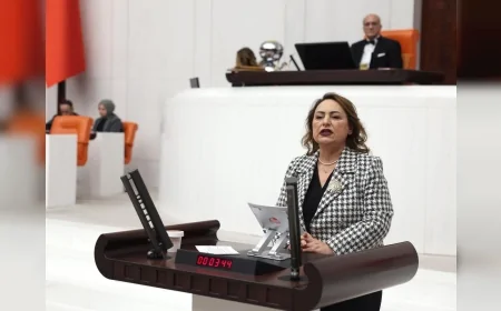 TBMM Katip Üyesi Müzeyyen Şevkin: “İliç Faciasının Üzerinden İki Yıl Geçti, Sorumlular Cezalandırılmalı”