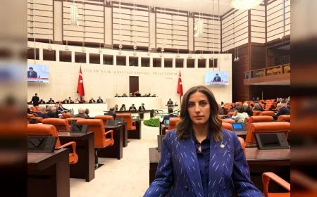 CHP İstanbul Milletvekili Evrim Rızvanoğlu: “Milli Parklar Teklifi Doğayı Koruma Değil İşletme Mantığına Dayanıyor”