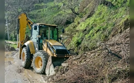 Efeler Belediye Başkanı Anıl Yetişkin: “Yağışın Ardından Tüm Ekiplerimizle Sahadayız”