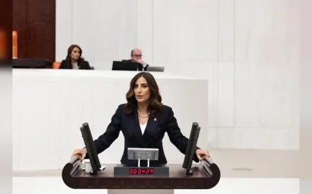 CHP Genel Başkan Yardımcısı Evrim Rızvanoğlu: “Milli parklar rant alanı değil, ülkenin ekolojik güvenlik altyapısıdır”