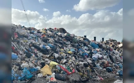 Çevre, Şehircilik ve İklim Değişikliği Bakanlığı’ndan Buca ve Foça Belediyelerine 9 Milyon 385 Bin TL Çevre Cezası