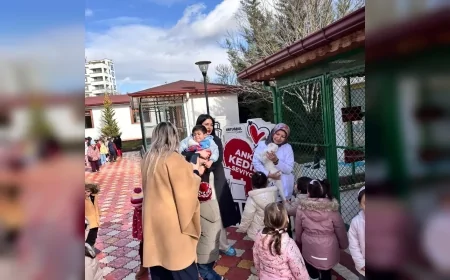 Pursaklar Belediyesi Ankara Kedisi Merkezinde Minik Öğrencilerden Sevgi Dolu Ziyaret
