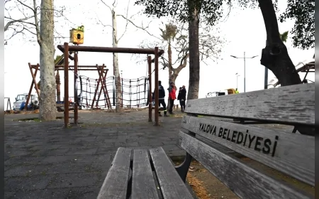 Yalova Belediyesi Gazi Paşa Caddesi’nde Budama Çalışmalarını Sürdürüyor