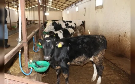 Yalova İl Tarım ve Orman Müdürü Mustafa İlmeç: “Kırsalda Bereket Projesi Sahada Somut Sonuç Vermeye Başladı”