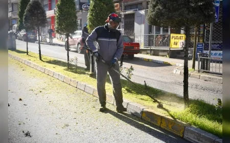 Giresun Belediyesi Yeniyol ile Malpazarı Arasında Orta Refüjlerde Bakım Çalışması Yürüttü