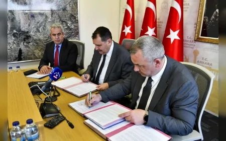 ANKARA BÜYÜKŞEHİR BELEDİYESİ VETERİNER HEKİMLİĞİ HİZMET PROJESİ İÇİN BAŞVURULARI BAŞLATTI