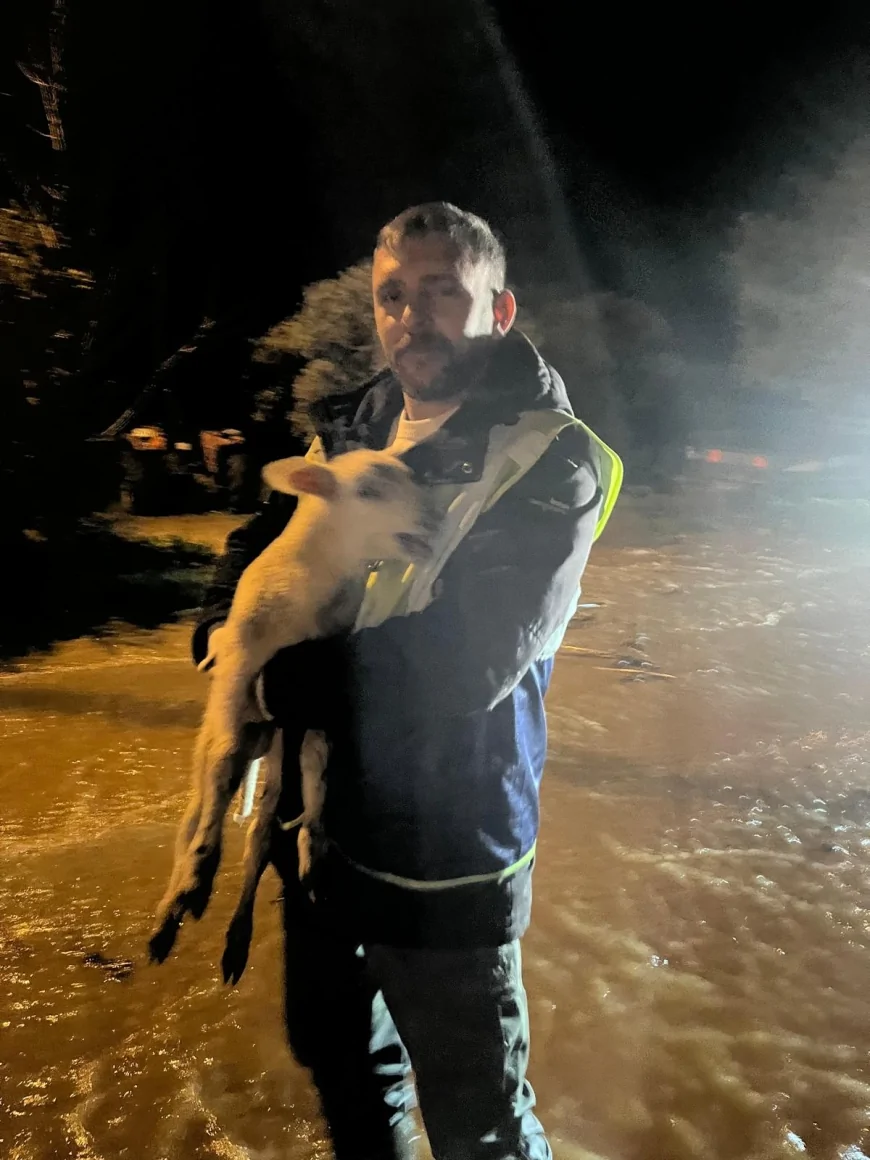 İzmir Büyükşehir Belediyesi Ekipleri Sağanakta Seferber Oldu: Torbalı’da Mahsur Kalan Hayvanlar Kurtarıldı