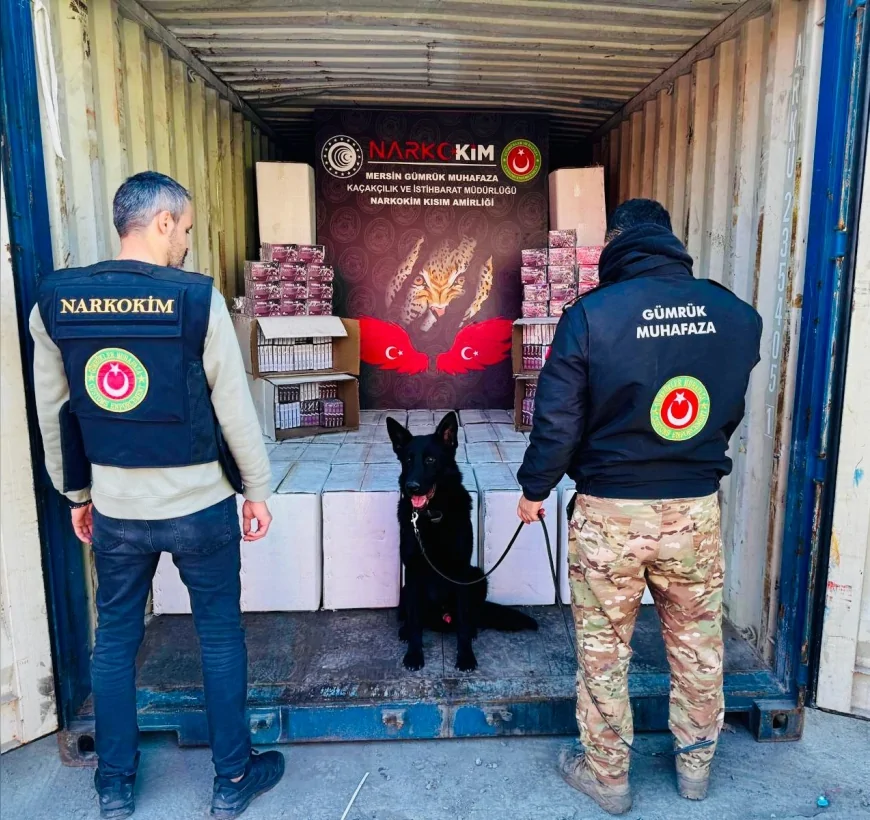 Ticaret Bakanlığı Gümrükler Muhafaza Birimleri 4 Milyar 617 Milyon TL’lik Uyuşturucu ve Kaçak İlaca El Koydu