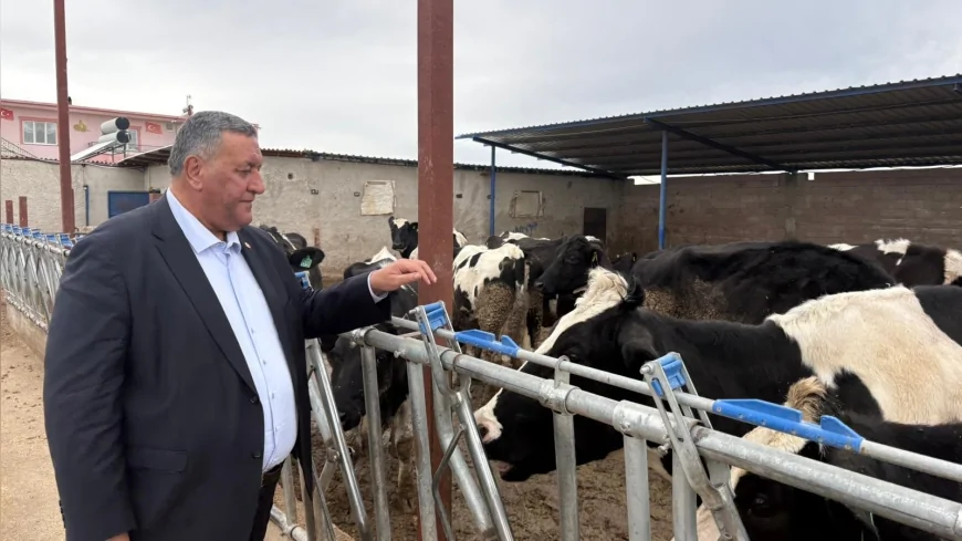 CHP Niğde Milletvekili Ömer Fethi Gürer: “2025 yılında 739 bin baş hayvan ithal edildi, daha az hayvana daha çok döviz ödendi”