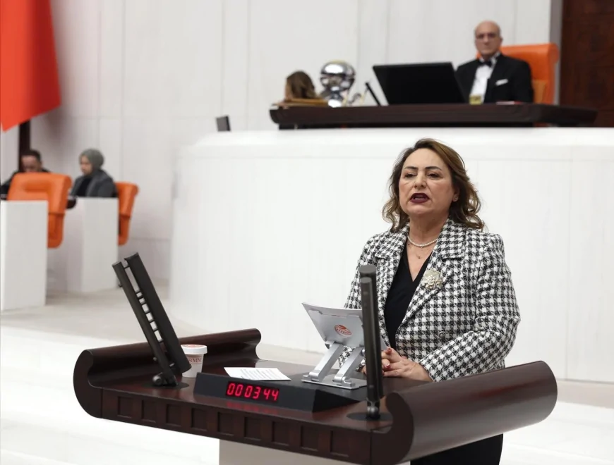 TBMM Katip Üyesi Müzeyyen Şevkin: “İliç Faciasının Üzerinden İki Yıl Geçti, Sorumlular Cezalandırılmalı”
