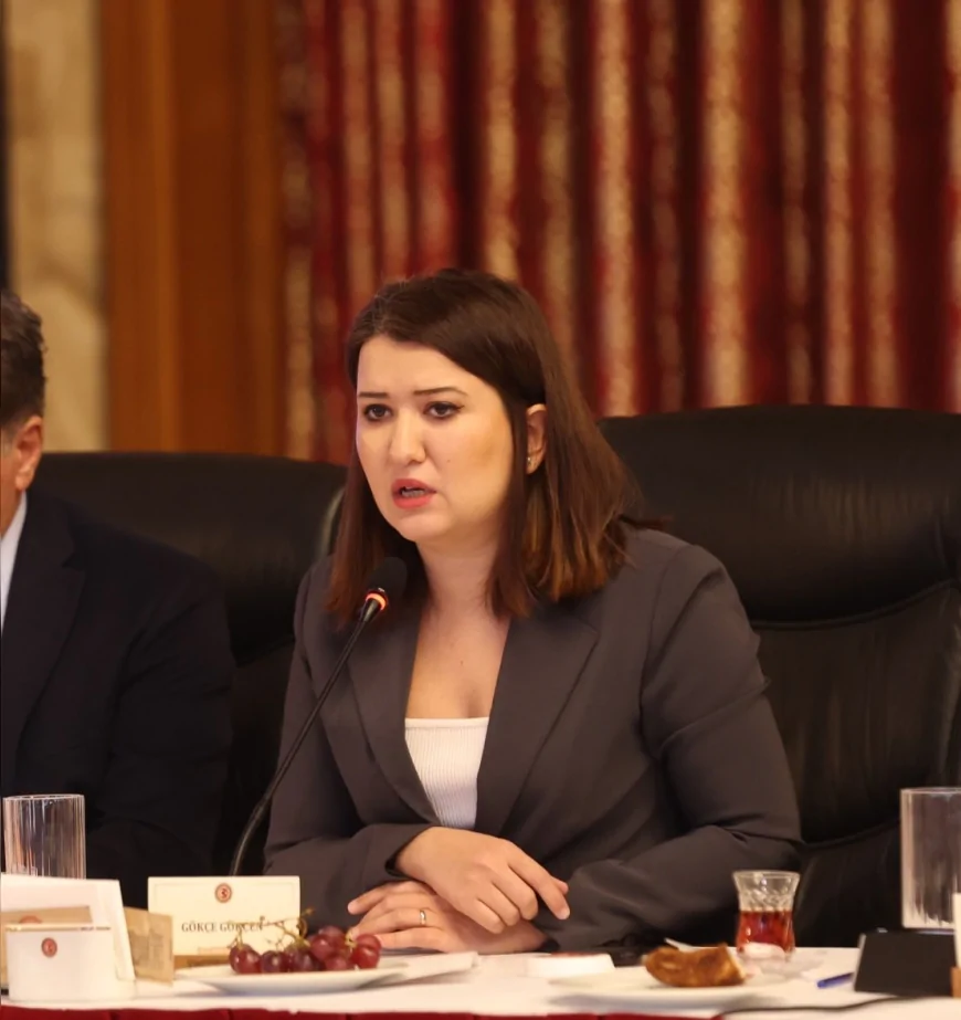 CHP Genel Başkan Yardımcısı Gökçe Gökçen: “Ahmet Özer Görevine İade Edilmeli, Tüm Kayyumlar Geri Çekilmelidir”