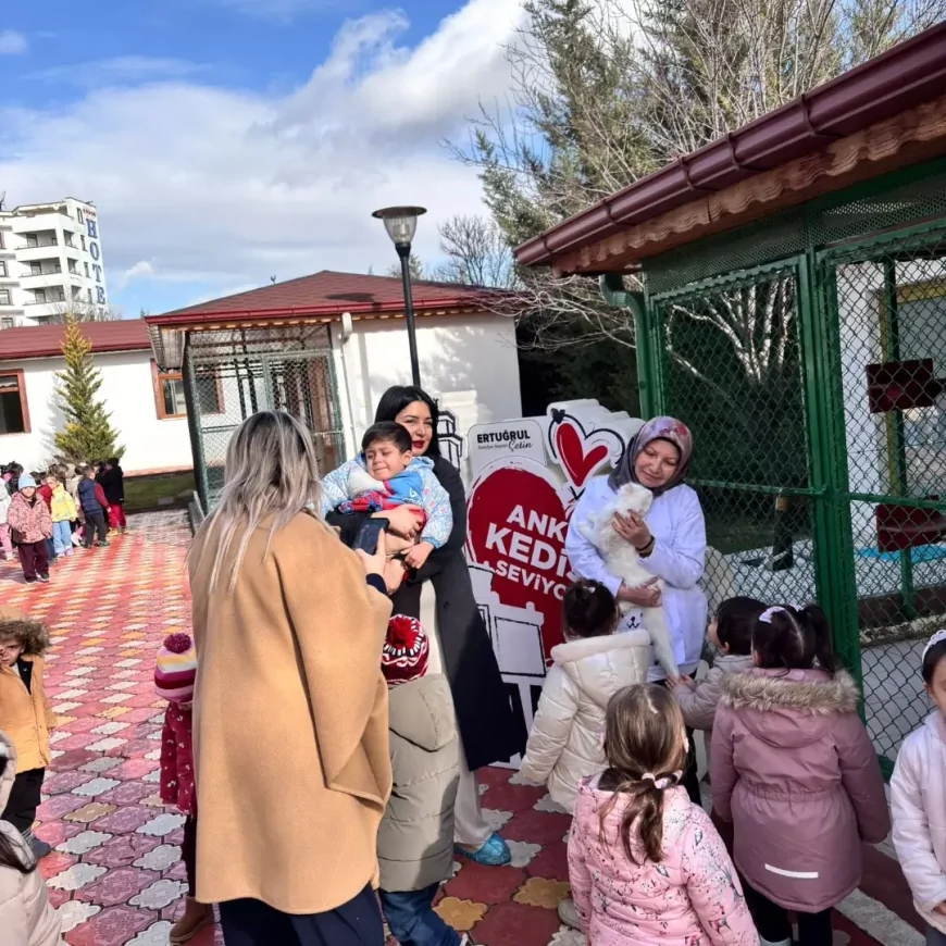 Pursaklar Belediyesi Ankara Kedisi Merkezinde Minik Öğrencilerden Sevgi Dolu Ziyaret